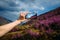 Close-up of smartphone in hand. Unknown woman using a gadget takes photos of a mountain slope covered with pink flowers