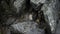 Close up of a smooth flowing water over rocks in the Mountains.