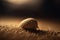 a close up of a snail on a bed of sand