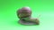 Close-up of a snail on a green screen. A snail moves on a green screen.