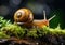 Close up of snail on top of a log. AI generated