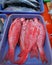 close up of snapper head at a fish shop.