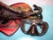 Close-up of snorkeling equipment. Diving goggles and fins.