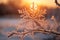 A close-up of a snowflake on a branch, highlighting its delicate details.