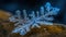 a close up of a snowflake on a rock