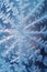 close-up of snowflakes on a frosted window