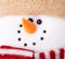 Close-up of snowman