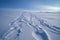 close-up of snowmobile tracks in pristine arctic snow