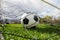 Close up of a soccer ball enters the gate and hits the net, goal concept. Football championship background, spring outdoors