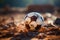 Close-up, soccer ball rests on textured field, ready for the next exhilarating play