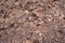 close up soil peat moss dirty background and texture