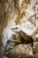 close up of some green steps to climb a vertical white stone of the wall of a mountain helping to hikers to save the gap to get