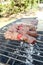 Close up of some meat grilled in a barbecue outdoor vacation summer