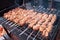 Close up of some meat skewers, grilled in a barbecue