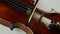 Close up soundboard of violin and bow. The bow moves along the violin string.