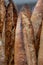 Close up of sour dough bread baguette loaves, photographed at The Newt near Bruton in Somerset, UK.