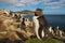 Close up of southern rockhopper penguin standing on the grass