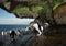 Close up of a Southern rockhopper penguin taking shower