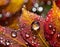 Close-up of sparkling raindrops on vivid autumn leaves with a macro perspective