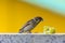 Close-up. A sparrow pecks bread on a windowsill against