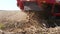 Close-up, special tractor digs up fresh and raw potatoes. Farm machinery harvesting potatoes on an agricultural field