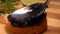 Close-up of a spoon pressing delicious black caviar to the bread slice