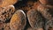 Close up, Spoons with Indian Spices Rotate on a Colorful, Wooden Background