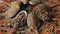 Close up, Spoons with Indian Spices Rotate on a Colorful, Wooden Background