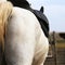 Close up of a sport saddle on equestrian event