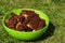 A close-up of a spring brain mushroom Gyromitra esculenta in green bowl