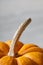 Close up of squash or pumpkin on a wooden background