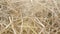 Close up stack of hay for background texture.