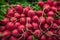 Close up of stacked Radishes