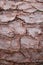 Close up of stacked tree trunks, bark