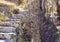 close up of a stair made with steps of concrete and stones in a garden with many different plants growing around the steps.