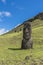 Close-up of a standing moai on the Rano Raraku hill