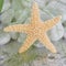 Close-up of a starfish - maritime spa decoration