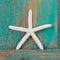 Close-up of a starfish and a turquoise wooden background