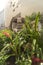 Close-up on a statue of a Moai head surrounded by tropical flowers at the west exit of Shibuya Station in Tokyo, Japan.