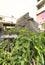 Close-up on a statue of a Moai head surrounded by tropical flowers at the west exit of Shibuya Station in Tokyo, Japan.