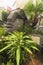 Close-up on a statue of a Moai head surrounded by tropical flowers at the west exit of Shibuya Station in Tokyo, Japan.