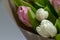 Close-up Still life Bouquet of white and pink unblown tulips, selective focus