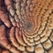 close up of a stone An abstract spiral art texture background with a detailed and elegant texture and a variety of size