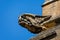 Close up of a stone gargoyle on the walls of Sherborne Abbey in Sherborne, Dorset, UK