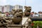 A close-up of a stone lion in the Chen Clan Temple in Guangzhou, stone carving art