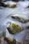 Close up of stone in river with green overgrowth. Long exposure of a mountain stony creek inside in the forest