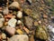 Close up of stones and bricks in the sea water. Seascape by the Ã–resund, Sweden