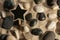 Close-up of stones and star sticking out of the sand in the sunlight