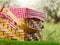 Close-up. Straw picnic basket on a green lawn against the backdrop of nature. Outdoor recreation, ecology, romance, family
