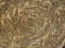 Close-up of straw texture. rolled up in a circle of hay. Concept of agriculture